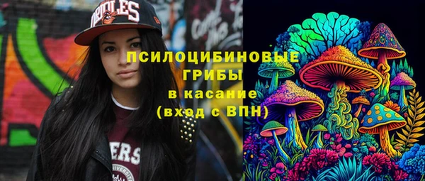 spice Осташков
