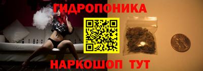 сатива Дубна