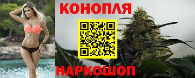 сатива Дубна