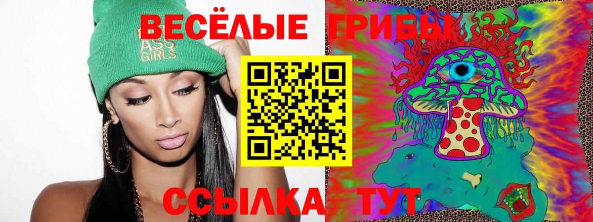 Псилоцибиновые грибы Cubensis  Вход с VPN  Красный Сулин 
