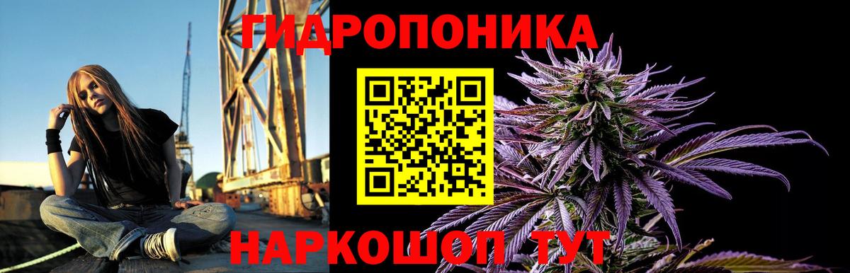Бошки марихуана THC 21%  Бошки Шишки Bruce Banner  Вход с VPN  Конопля MAZAR  Каннабис AK-47  Красный Сулин 